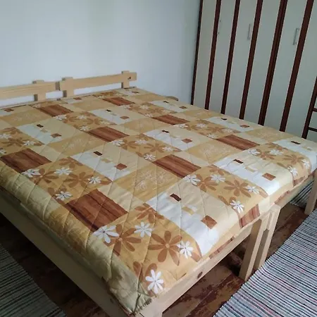Casa Camelia