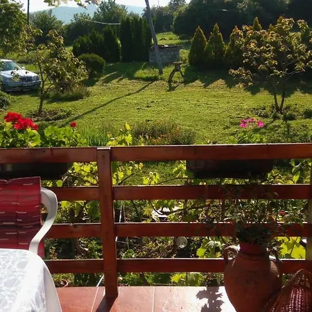 Casa Camelia בית הארחה *