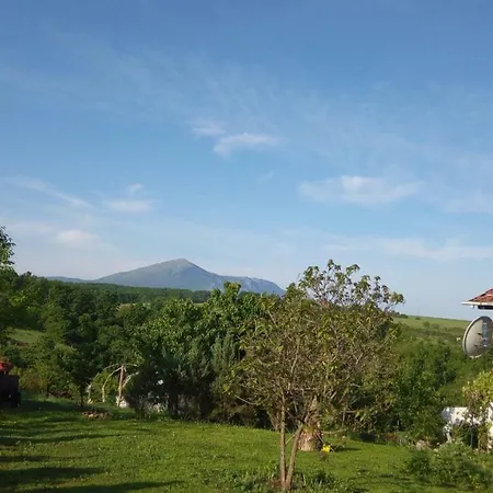 Casa Camelia Guest house